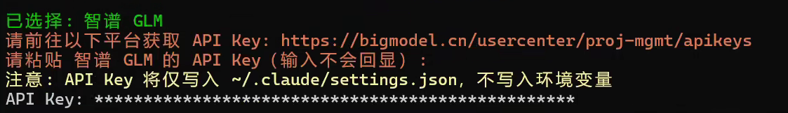 粘贴 API Key 到终端